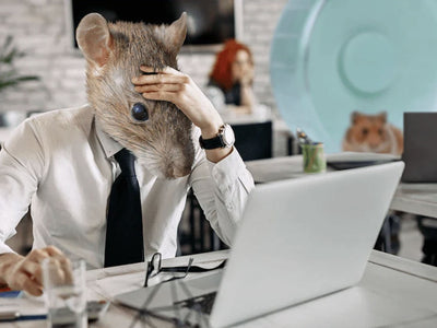 A young professional is stressed at his office desk and has the head of a rat because he's trying to escape the rat race - Sunday Scaries