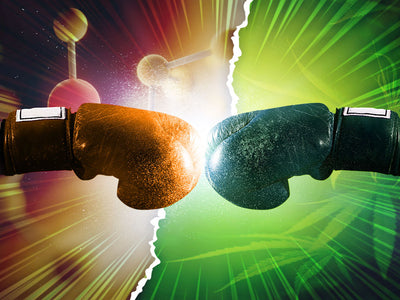 Two boxing gloves hitting each other, one symbolizing CBD and the other symbolizing THC