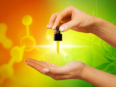 A CBD oil pipette showing the difference between CBD oil and Hemp Oil