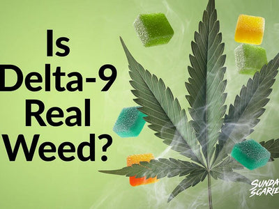 A cannabis leaf surrounded by gummies with the title