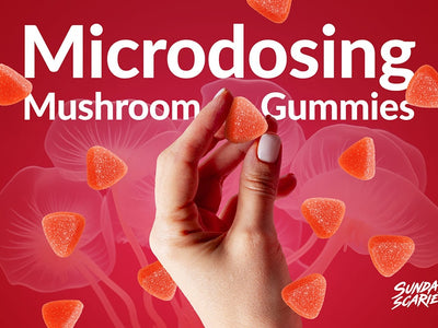 Microdosing Mushroom Gummies