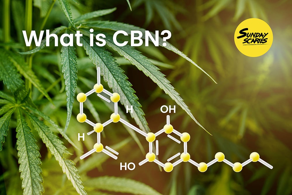 What is CBN?: The Emerging Cannabinoid's Uses and Effects