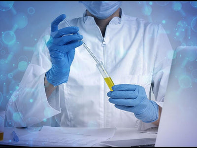 A scientist shows if THC gummies will test positive on a drug test