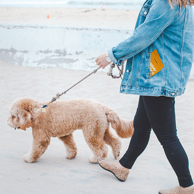A woman walks her dog on the beach with some Sunday Scaries CBD Dog Treats in her pocket