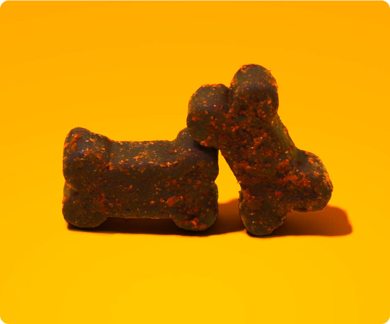 Two bacon flavored, bone-shaped CBD dog treats on an orange background