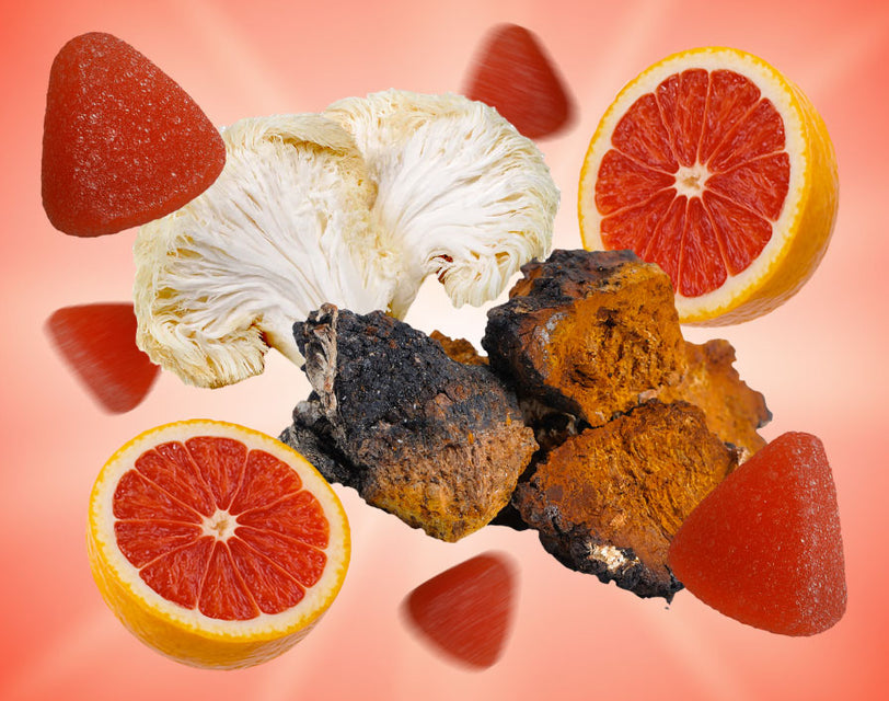 Chaga and Lion's Mane raw mushroom images next to blood oranges and Sunday Scaries gummies