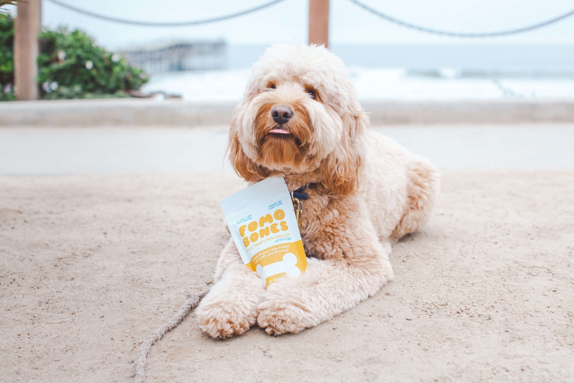 Sunday Scaries FOMO Bones CBD dog treats allow your dog to remain calm in public areas, like the beach
