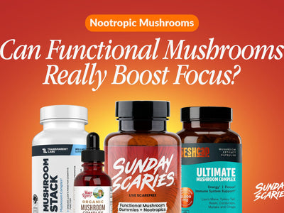 Nootropic mushrooms