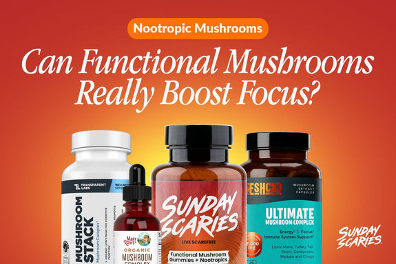 Nootropic mushrooms
