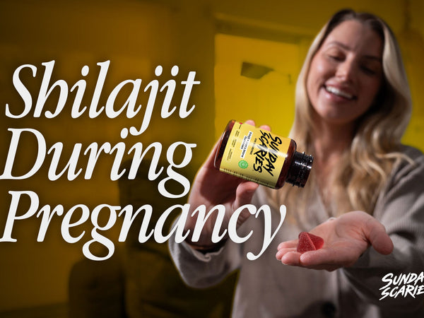 shilajit pregnancy