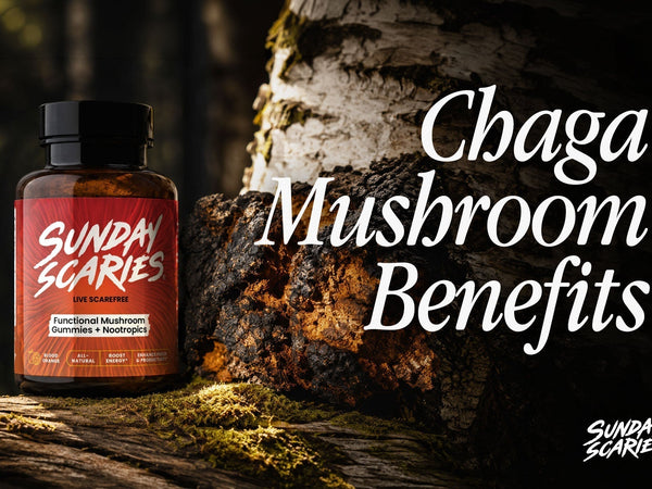 chaga mushroom benefits