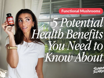 Functional Mushrooms Benefits