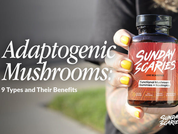 Adaptogenic Mushrooms