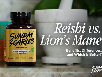 Reishi vs Lion's Mane