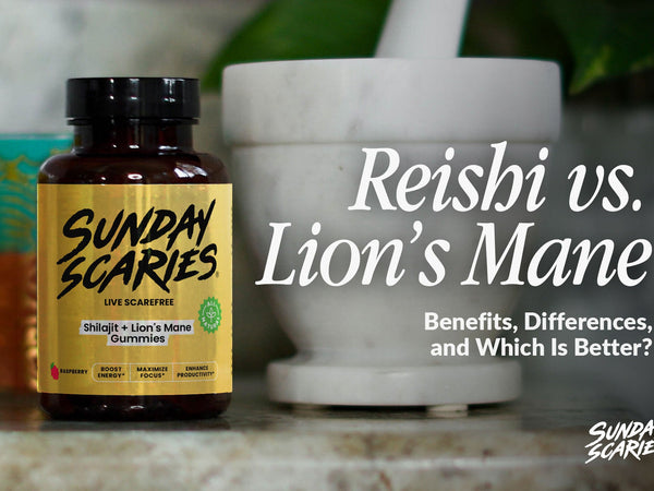 Reishi vs Lion's Mane