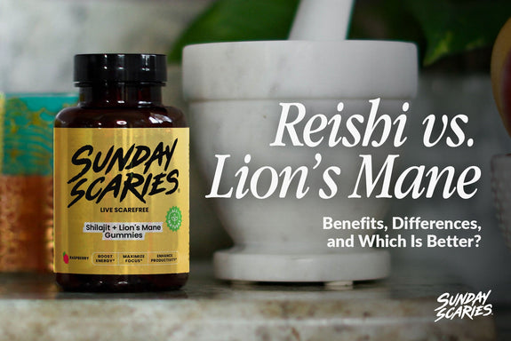 Reishi vs Lion's Mane