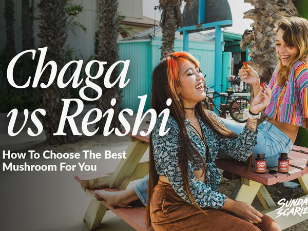chaga vs reishi