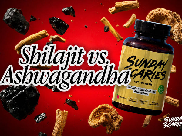 shilajit vs ashwagandha