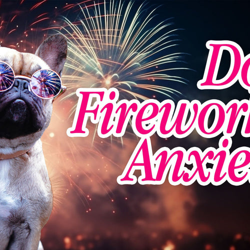 Dog Fireworks Anxiety: The Countdown That Actually Works