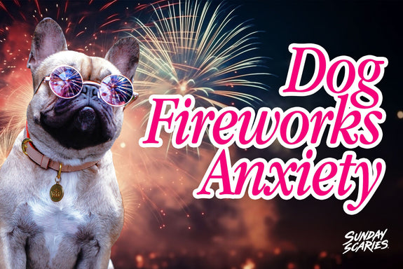 Dog Fireworks Anxiety: The Countdown That Actually Works