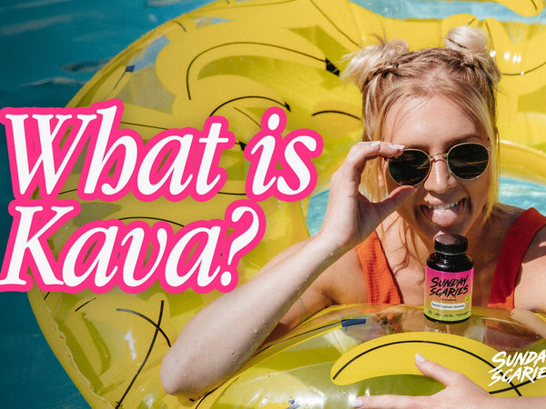 What Is Kava? The Complete Guide to the South Pacific Root