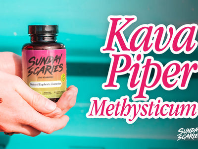 Piper Methysticum: The Botany Behind the Kava Plant