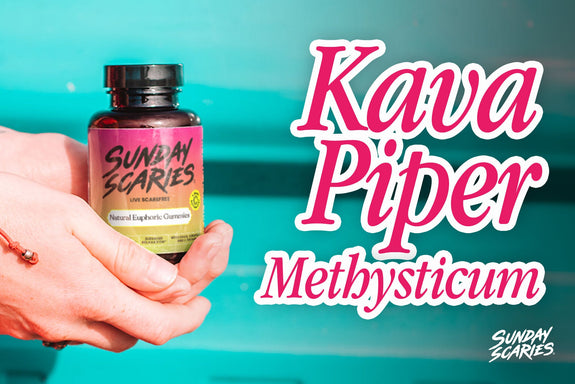 Piper Methysticum: The Botany Behind the Kava Plant