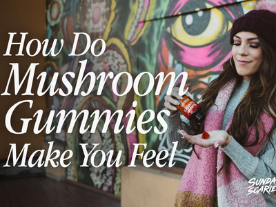 How Do Mushroom Gummies Make You Feel?