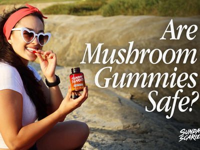 Are Mushroom Gummies Safe To Take?