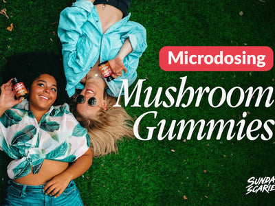 Microdosing Mushroom Gummies: The Ultimate Guide