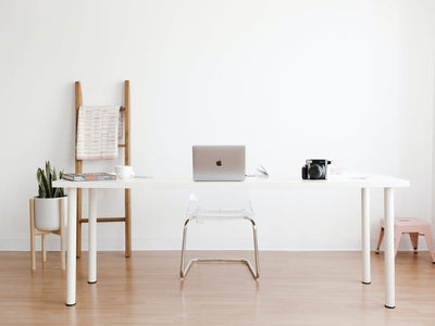 An organized home office desk setup with a jade plant to promote a calm environment