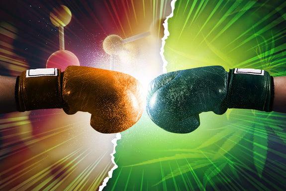 Two boxing gloves hitting each other, one symbolizing CBD and the other symbolizing THC