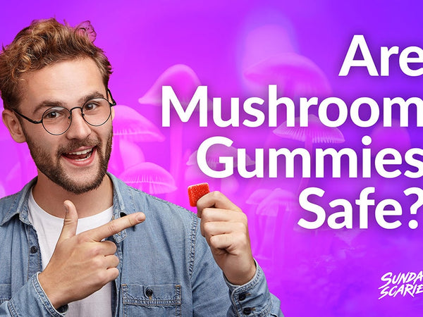 A man is holding up a sunday scaries gummy showing how mushroom gummies are safe