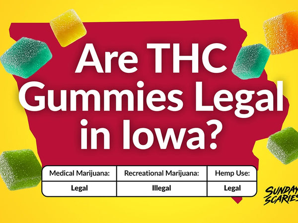 A chart showing the legal status of THC gummies in Iowa, for recreational marijuana, medical marijuana and hemp-derived 