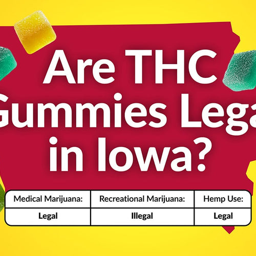 A chart showing the legal status of THC gummies in Iowa, for recreational marijuana, medical marijuana and hemp-derived 