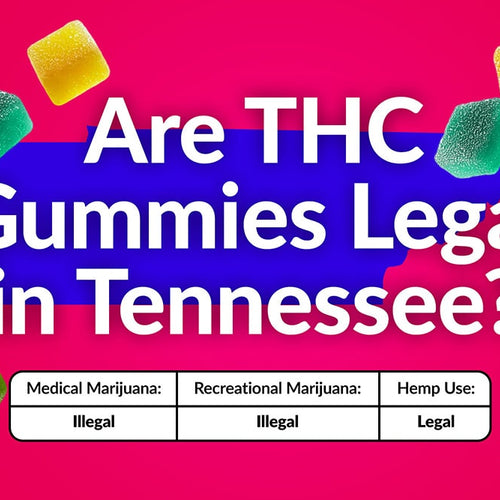 A chart showing which types of THC gummies are legal in Tennessee: for medical marijuana, recreational marijuana and hemp-derived