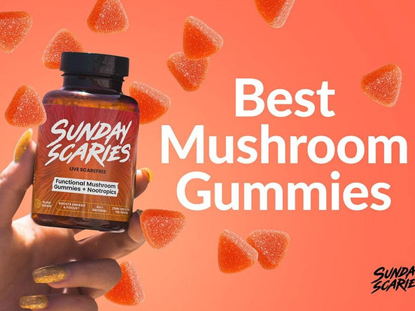Triangle mushroom gummies and the top winner for best mushroom gummies of 2025