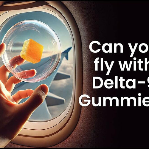 A traveler holds up a gummy on an airplane, showing that you can fly with delta-9 gummies