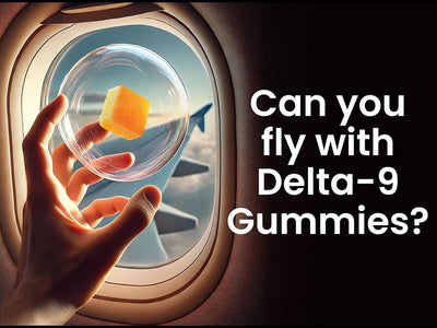 A traveler holds up a gummy on an airplane, showing that you can fly with delta-9 gummies