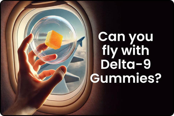 A traveler holds up a gummy on an airplane, showing that you can fly with delta-9 gummies