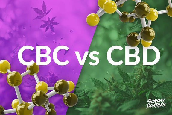 A purple hemp background next to a green hemp background showing CBC vs CBD