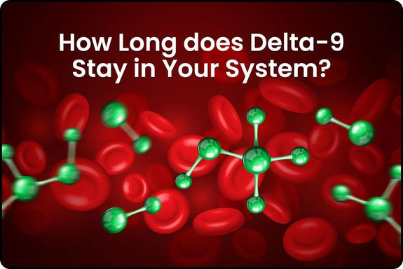 The Delta-9 molecule inside the body showing how long Delta-9 stays in your system