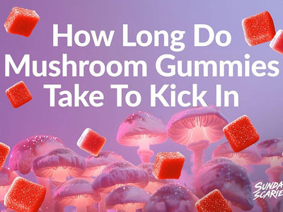 Square gummies and mushrooms appearing in a digestive system showing how long mushroom gummies take to kick in