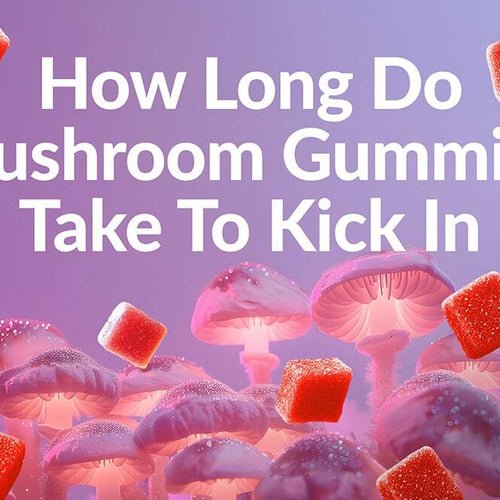 Square gummies and mushrooms appearing in a digestive system showing how long mushroom gummies take to kick in