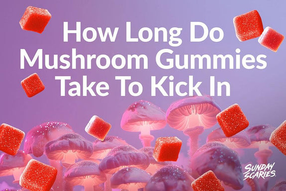 Square gummies and mushrooms appearing in a digestive system showing how long mushroom gummies take to kick in