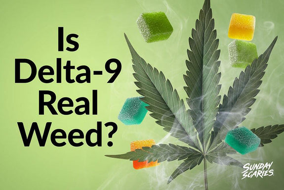 A cannabis leaf surrounded by gummies with the title "Is Delta-9 Real Weed?"