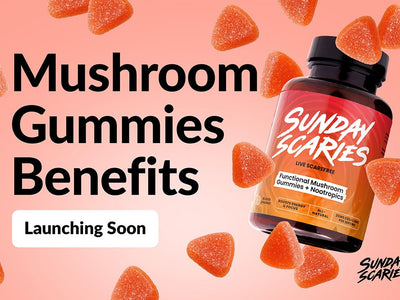 Mushroom Gummies Benefits