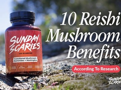 reishi mushroom benefits