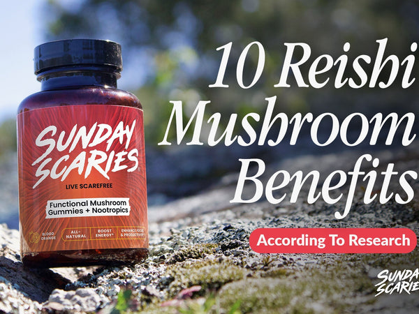 reishi mushroom benefits