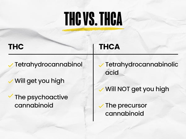 An infographic listing the differences between THC vs. THCA